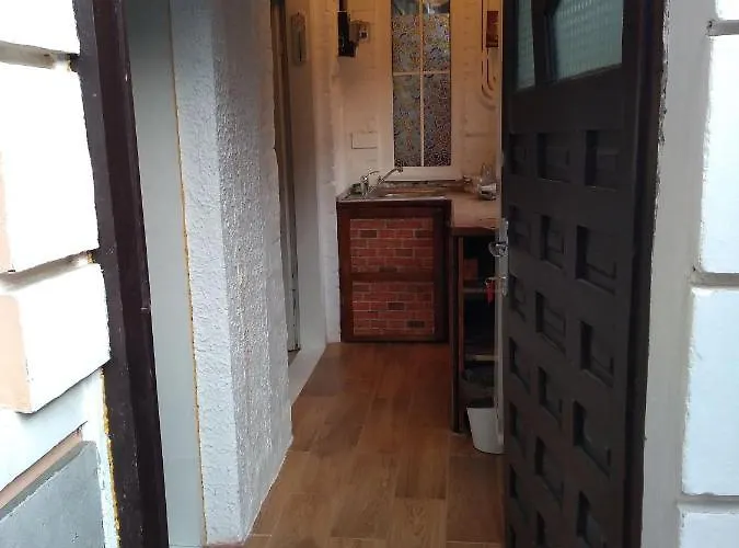 世博寄宿家庭 *