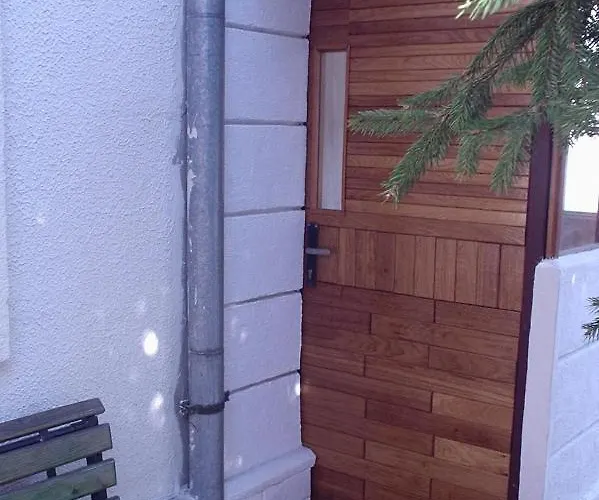 世博寄宿家庭 *