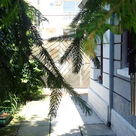 بيت شباب Expo بوخارست